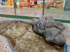 -长春农业博览园