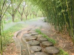 -雪山彩虹谷景区