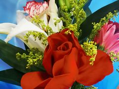 -全聚德(哈尔滨店)