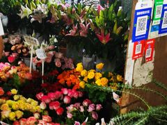 -桂林市花鸟市场