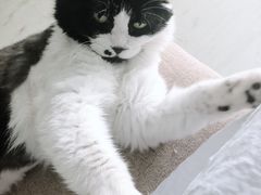 -北京赛佳动物医院