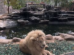 -北京野生动物园