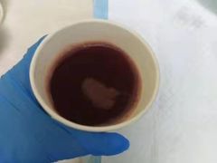 -佳怡动物医院·平价24小时·猫专科骨外科