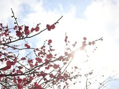 -华东政法大学(松江校区)