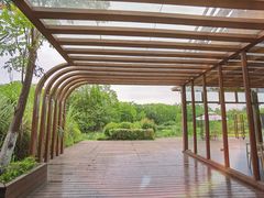 -桤木河湿地公园