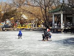 -北陵公园