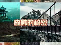 -崂山巨峰游览区
