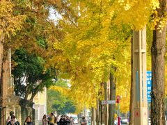 -四川大学(望江校区)