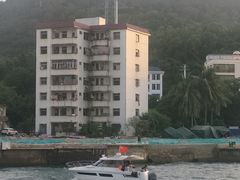 -鸿港海鲜批发市场