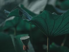 -青岛中山公园-索道售票处