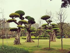 -南宁南湖公园