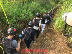 -荔枝红五号农庄