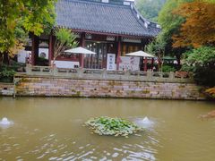 -岳王庙