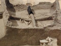 -洛阳周王城天子驾六博物馆