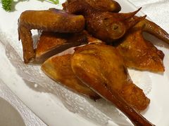 红烧乳鸽-光明招待所(邦凯科技园店)