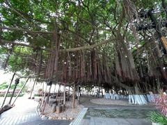 -胡里山炮台
