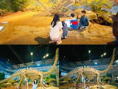 -自贡恐龙博物馆