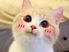 -锡笼记·无锡小笼(大润发店)