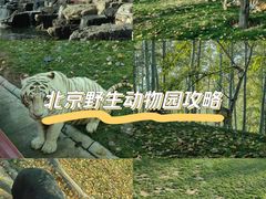 -北京野生动物园