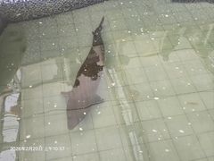 -长春农业博览园