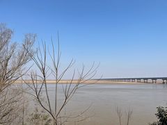 -黄河花园口旅游区