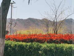 -里口山风景名胜区