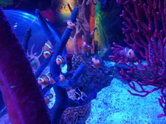 -沈阳海洋探索中心