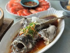 石斑鱼-阿龙海鲜农家乐·三亚老字号(海棠湾店)
