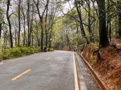 -岳麓山风景名胜区