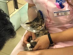 -宠颐生中康贝怡动物医院