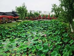 -董永七仙女文化园