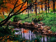 -上海共青森林公园