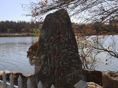 -长春市南湖公园