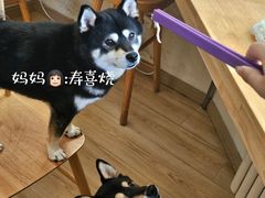 -柴の食堂·日式家庭料理·熊之肆(大学路店)