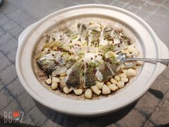 红胡椒啫大黄鱼-新光酒家·河豚·海鲜·蟹料理(浦东店)