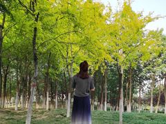 -洨河生态公园