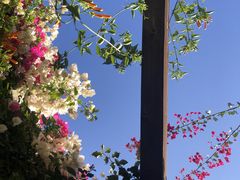 -攀枝花公园