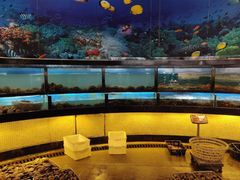 水产区-渔公码头·九龙湾国际饭店