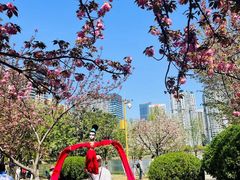 -西北湖绿化广场