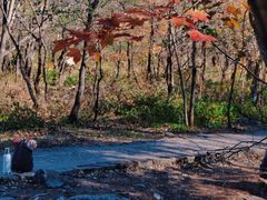 -玉渡山自然风景区