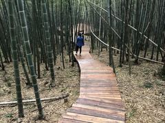 -南京市无想山景区