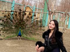 -水上乐园·欢乐世界