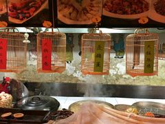 -闯关东东北农家菜(崂山石老人店)
