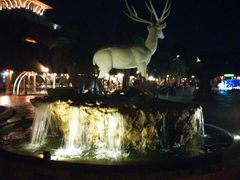 -清迈夜间动物园