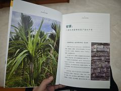 -厦门市图书馆(集美新城馆区)