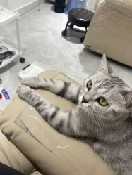 -菜菜美甲美睫皮肤管理
