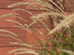 -上海交通大学(闵行校区)