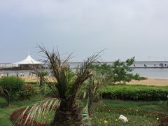 -碧海金沙