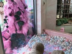 -CIAO·团建聚餐·生日派对轰趴馆(福田店)