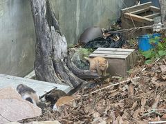 -北马山庄植趣咖啡